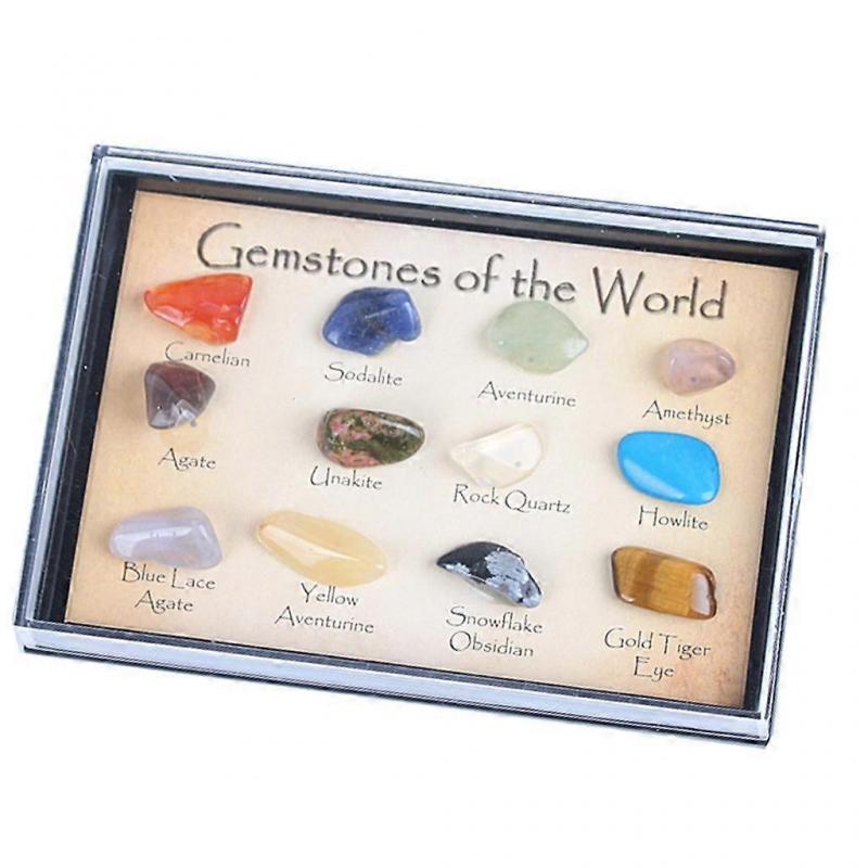 3x MagiDeal Earth Science Toys for Children Rock & Mineral Collection