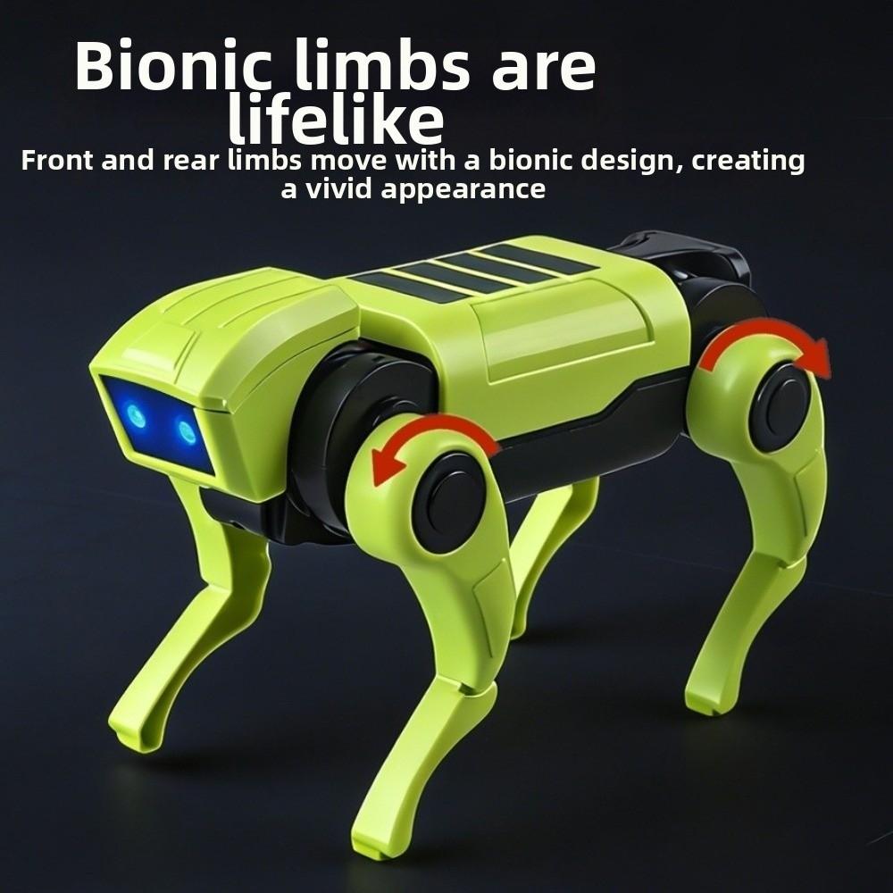 Battery Powered Electric Robot Dog Toy Science Teaching Model Dog  Birthday Gift for Boys