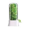 Herb Preserver Extenders Maintains Freshnesses 2 3 Interval Visible Lid Ventilated Bottom Safe for Refrigerator Storage