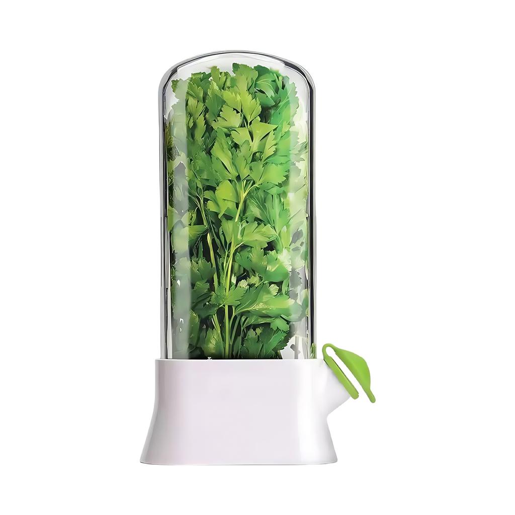 Herb Preserver Extenders Maintains Freshnesses 2 3 Interval Visible Lid Ventilated Bottom Safe for Refrigerator Storage