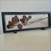 Reusable Flower Plant Display Frame 3D Transparent Jewelry Storage Case  Sample Exhibition Stand
