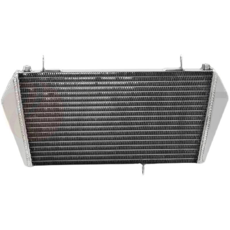 Aprilia Shiver 900 Dorsoduro (2017-2022) Water-Cooled Radiator Assembly