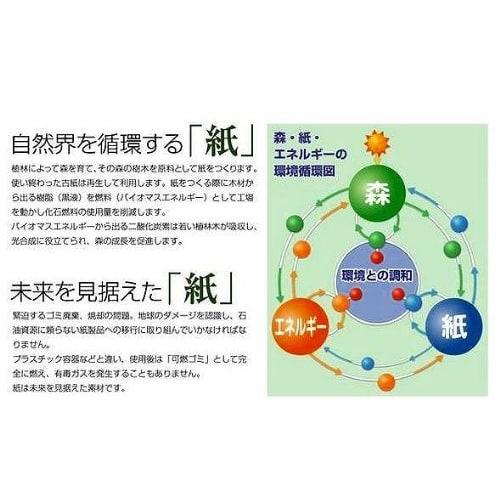 Paper Eco Spoons, 94mm, 100 Count, Small Bag, Made from Chlorine-free Bleached Eco-pulp