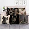Fashionable Cats And Cute Pet Animals Digital Printing Short Plush Pillow Covers For Car Sofa Office Cushion Cover Home Goods