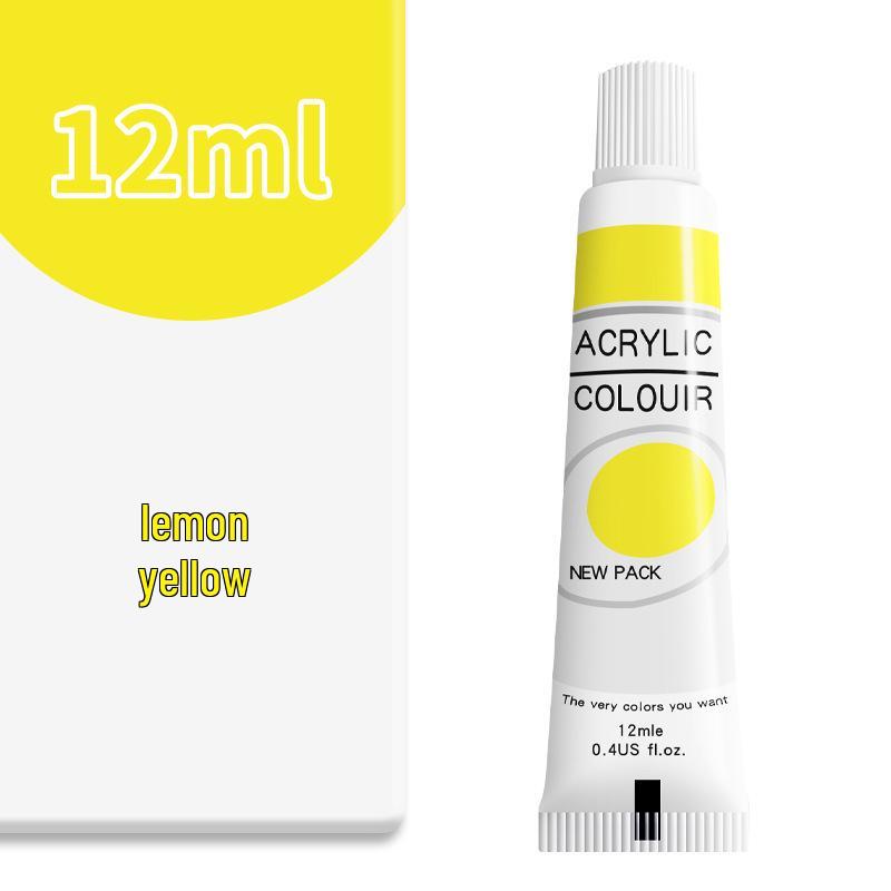 Tubes de peinture acrylique 12 couleurs: 12 ml pour le bricolage des enfants et la peinture murale à la main