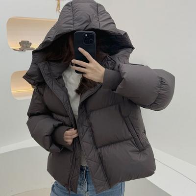 New Cotton-padded Jacket Women's Winter Short Thick Cotton-padded Coat Korean Version of Loose Design Cotton-padded Jacket Western Style Coat.