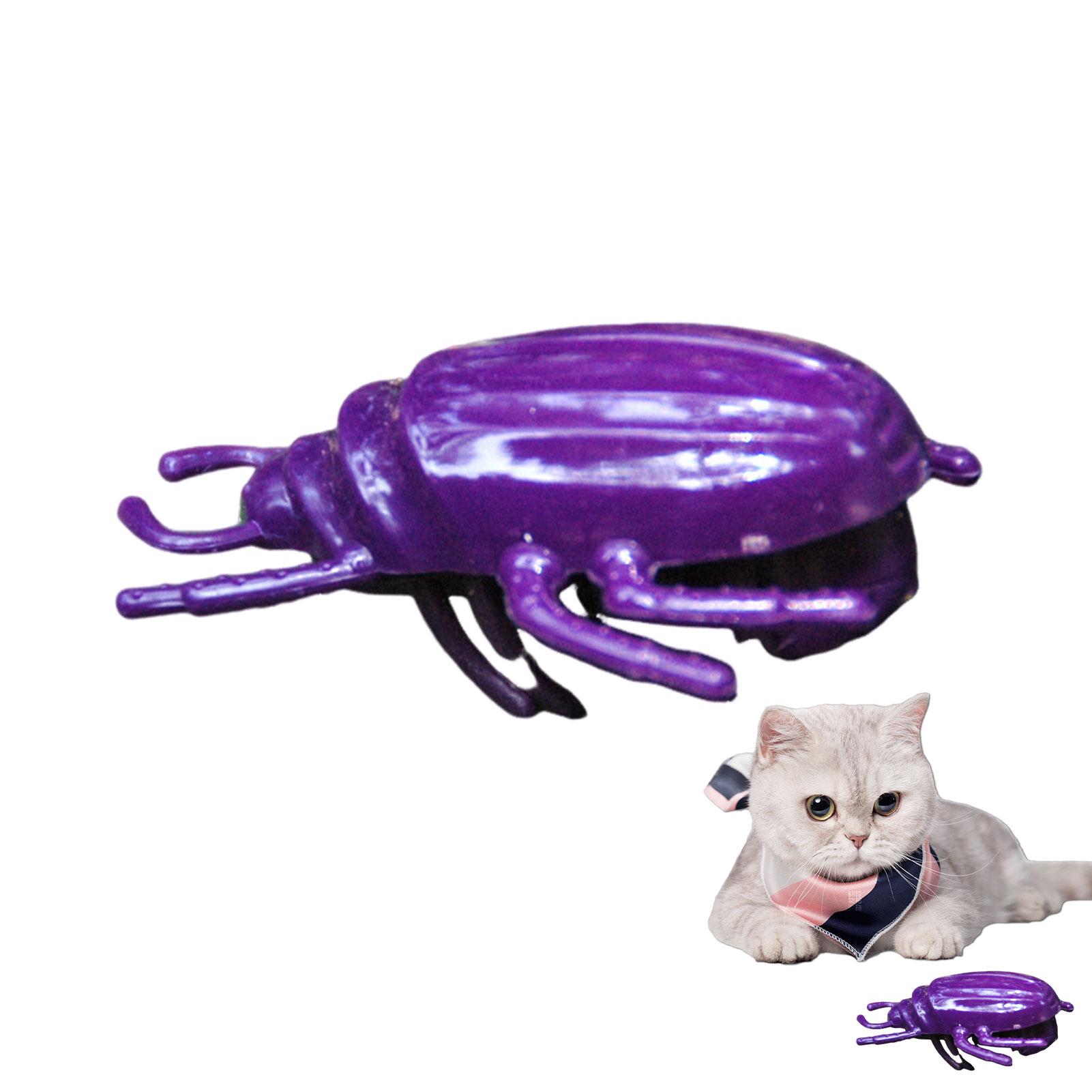 

Електричні іграшки Гра-зграя Для замінника таргана Тарган Нескінченний Для інтерактивної іграшки для кота Весела гра Заміна