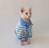Primavera Nuova Polo Gatto Sphynx Senza Pelo Devon Vestiti Cotone Traspirante