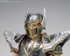 TAMASHII NATIONS Saint Cloth Myth EX Pegasus Seiya Seiya The 170mm Painted Movable Figure -Saint Beginning- Approx. PVC&ABS&Diecast