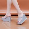 2025 Bling Golden Women Slippers Summer Shoes Platform(4cm) Outside Fitting-room 11cm High Heels Wedges Solid Mesh Female Slides