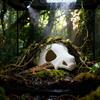 Fish Tank Oranament Aquarium Decor 3D Printed Anime Style Skull Reptile Hideouts for Terrarium Habitat 100% Safe Home Decoration