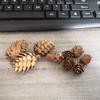 1-18CM Pine Cone Christmas Decorations: Creative Figurines & Photography Props