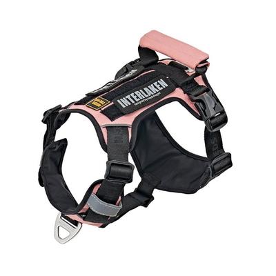 Need the Pet Interlaken Slim 2.0 Lightweight Two-tone Front Hook Dog Harness, Black + Pink