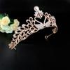 Wedding Headwear New Alloy Rhinestone Swan Crown Korean Style Fairy Photography Photo Wedding Accessories Bridal Crown