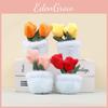 Plush Potted Tulip Plant Toy With Keychain For Gift And Bag Decor
