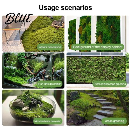 Long-lasting Artificial Moss Centerpieces Fish Fairy Gardens DIY Crafts 100/150/200/500/1000G Green Table Fake Tank Microlandscape