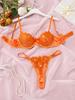 Sweet Lace Embroidered Mesh See-Through Lingerie Set