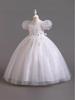 Girls' Luxury Princess Puffy Skirt Formal Dress - Flower Girl Wedding & Performance Costume