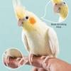 Taille-ongles électrique portable pour perroquet avec 4 têtes de polissage Coupe-ongles pour oiseau Toilettage d'animal de compagnie
