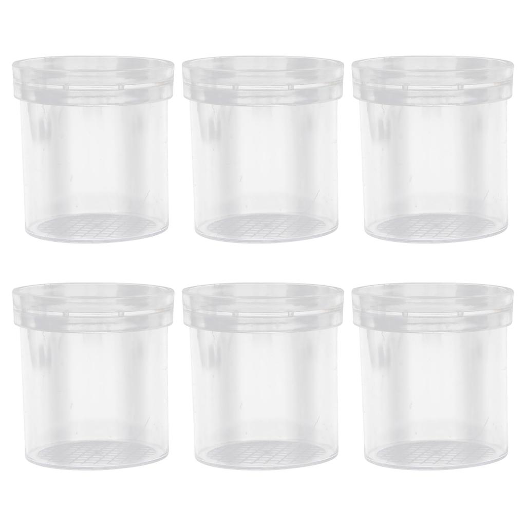 LEDMOMO Malá klec na hmyz 6 kusů Lupa Pozorovatel hmyzu Pouzdro na hmyz s lupou Krabička Lupa Mikroskop Lupa Lupa Průzkum přírody