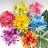 Vintage Floral Hair Accessory Elegant Hawaiian Duckbill Clip Fashion Flower Hair Clip  Daily Wear