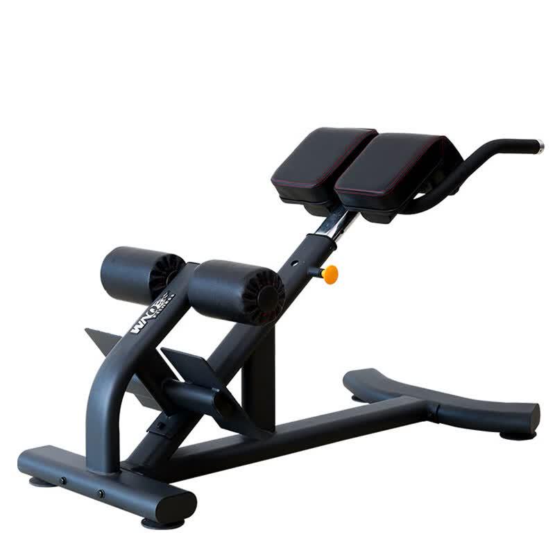 WNQ Commercial Strength Training Roman Chair
