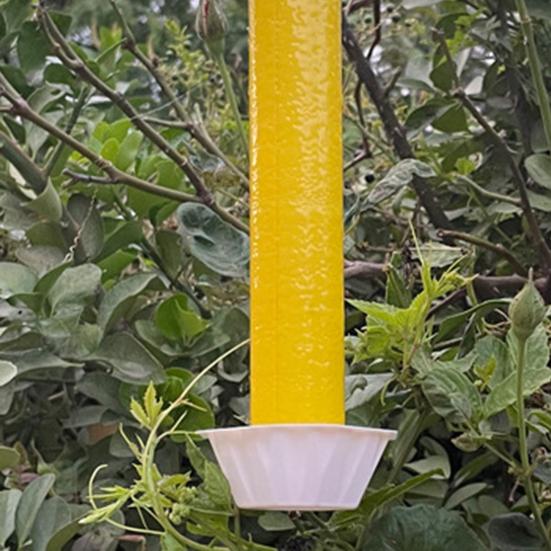 Lepkavá past na létající hmyz Efektivní Ekologická Bezpečné použití Vnitřní použití Venkovní Použití Past na lapače ovocných mušek