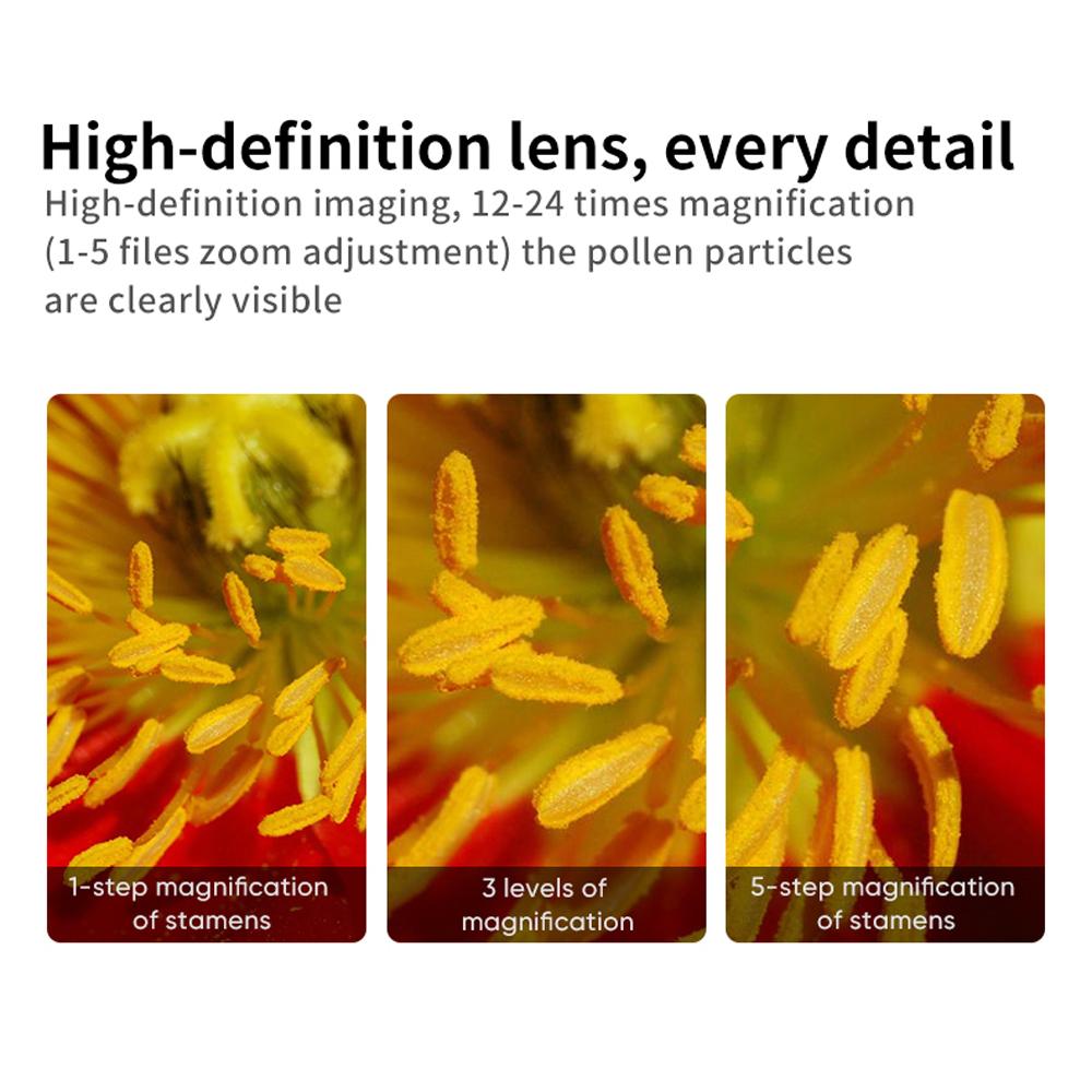 2 Megapixel Portable Handheld Digital Microscope 12-24X Magnification Indoor Outdoor Microscope