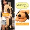 [Stylish Soda] Plush Toy Cat Hugging Pillow - Dachshund "My Choco-kun" (Brown, 60cm)