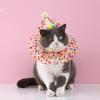 Kjæledyr Bursdagshatt Skjerf Sett Valp Prinsessekostyme Søt Blondekostyme for Katt Hund Fargerik Prikkete Bandana Hatt Katt Gratulerer med Dagen Dekorasjon Kjæledyrfest