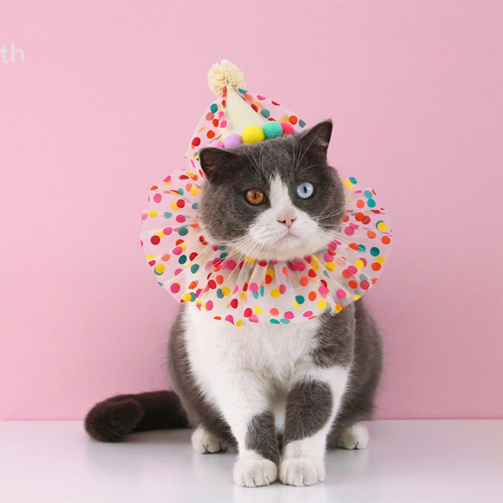 Kjæledyr Bursdagshatt Skjerf Sett Valp Prinsessekostyme Søt Blondekostyme for Katt Hund Fargerik Prikkete Bandana Hatt Katt Gratulerer med Dagen Dekorasjon Kjæledyrfest