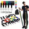 11Pcs/Set Durable Resistance Band Set Anti-Break Elastic Training Band  Fitness Equipment