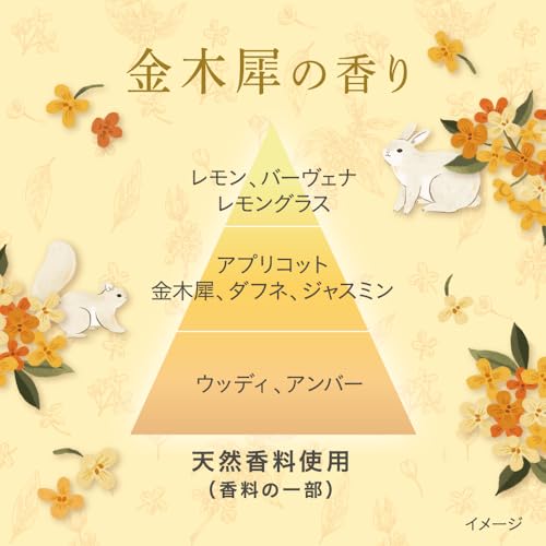 Essential Premium Barrier Silky & Smooth Pump Set Osmanthus Scent 900ml