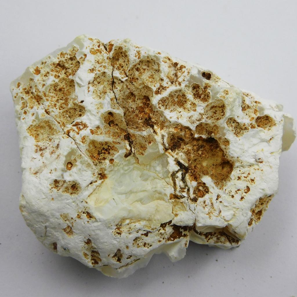 Natural White Opal Loose Gemstone 453.75 Ct Uncut Rough October Birthstone for Gem Collections