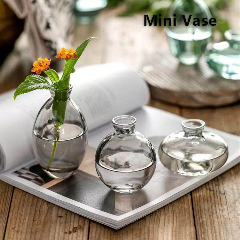 Przezroczysty szklany wazon na nasiona awokado Wazon na nasiona Zestaw do uprawy Wazon na awokado do uprawy Prezent dla miłośników ogrodnictwa Wystrój domu