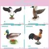 Detailed Pvc Models Of Farm Poultry Ducks Geese Roosters And Hens For Educational Play