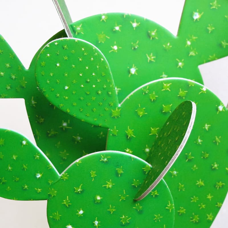 PAPER CAT DIY Paper Cactus Kit - Prickly Pear Cactus