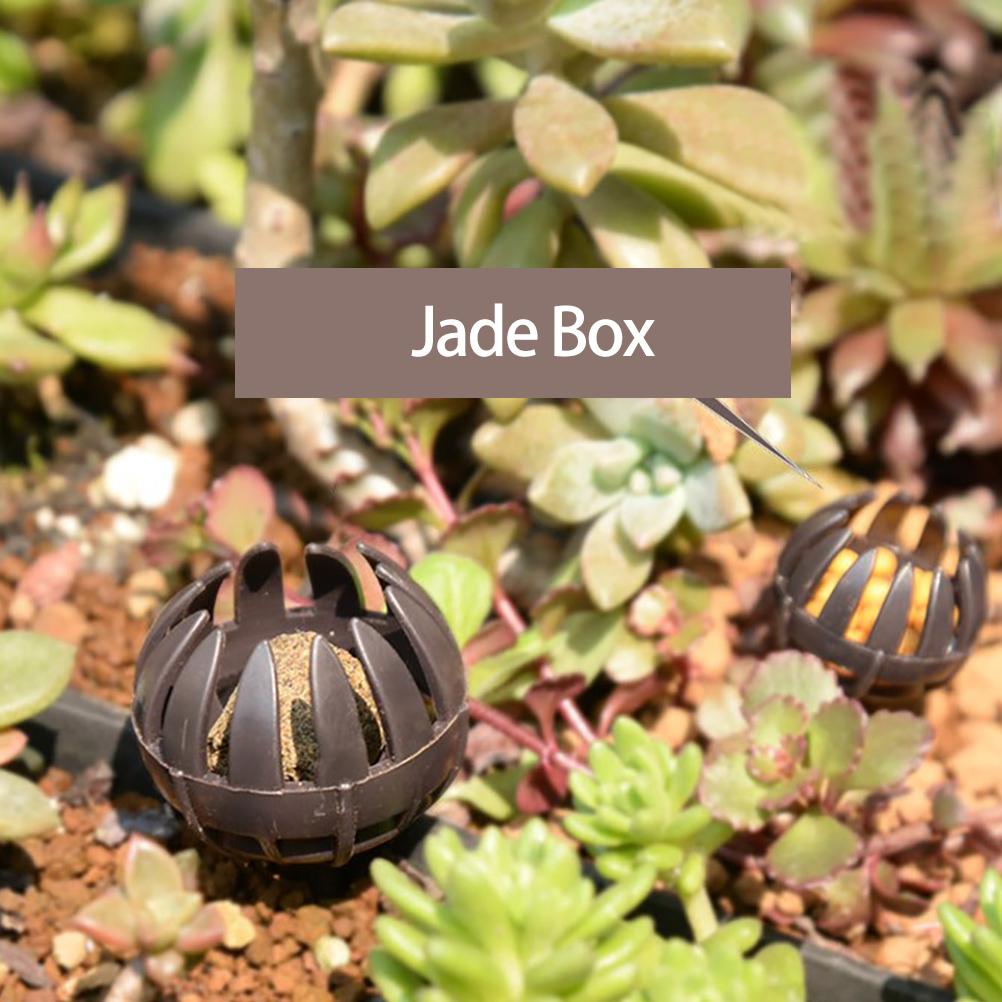 10 Pièces Boîte à Engrais pour Bonsaï Paniers à Engrais à Plantation Automatique Forme de Griffe en Plastique Contrôle de Fertilisation