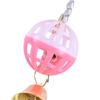 Bell Bird Toys Colorful Plastic Parrot Ball Toy for Cockatiels African Greys
