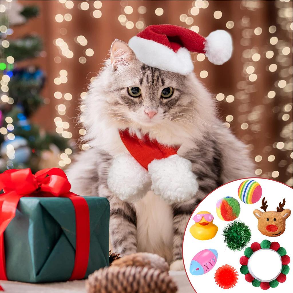 Cat Christmas Advent 2025 24 Days Cat Toys Seasonal Countdown Calendar For Christmas Home Daily Festival Holiday Boredom Relief