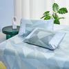 Luolai Super Soft Cooling Mat & Summer Quilt Set