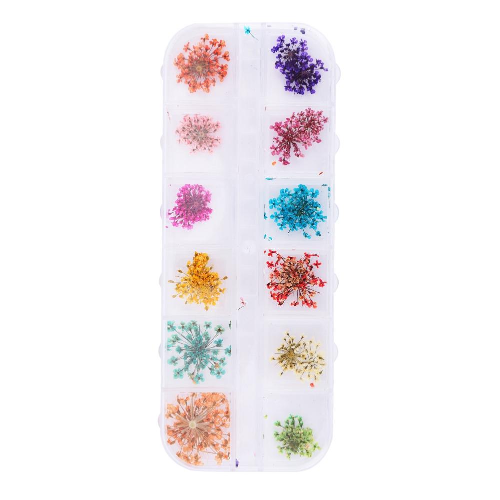 12 Colors Natural Dried Flower for Acrylic UV Gel Nail Art Tips Design Case DIY Decor A