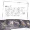 Astro Cards Oracle Cards (Authentic Astrology) with Japanese Instructions