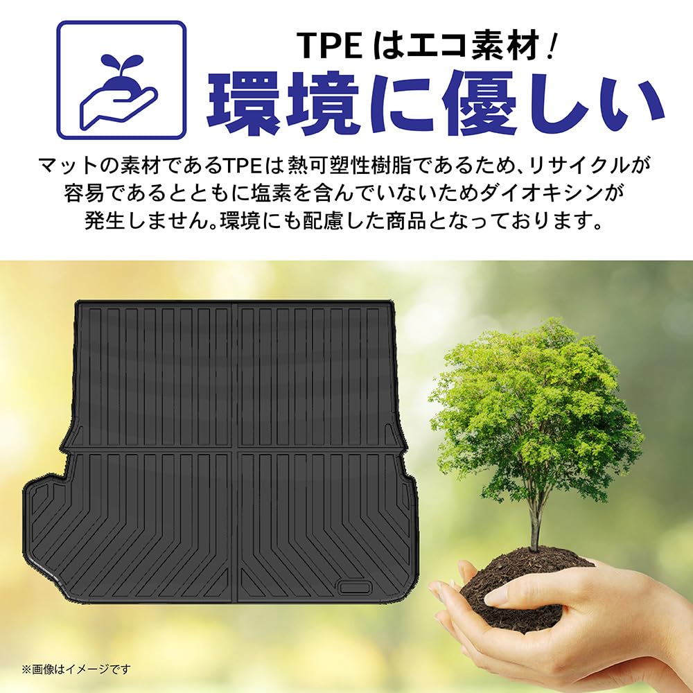 Mata bagażowa TYT 250 (Lankle 7-osobowy (normalny typ))