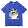 Y2k Retro Freaky Cat T Shirt Kawaii Unisexunisex Clothing Cotton Clothes Graphic Tops For Cat Lover Gifts Hight Quality T Shirts