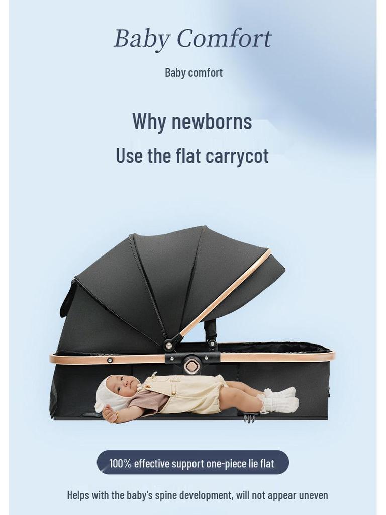 High Landscape Reversible Baby Stroller & Reclining Tricycle, Three-in-One with Large Wheels