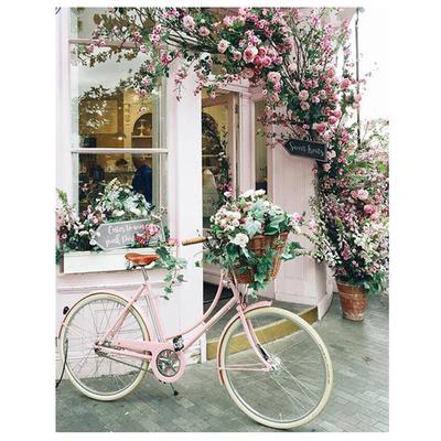 DIY Diamant Stickerei Fahrrad Blumen Diamant Malerei, Kreuzstich