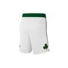 Nike NBA Basketball Shorts Mens Moderate Other 912078-100