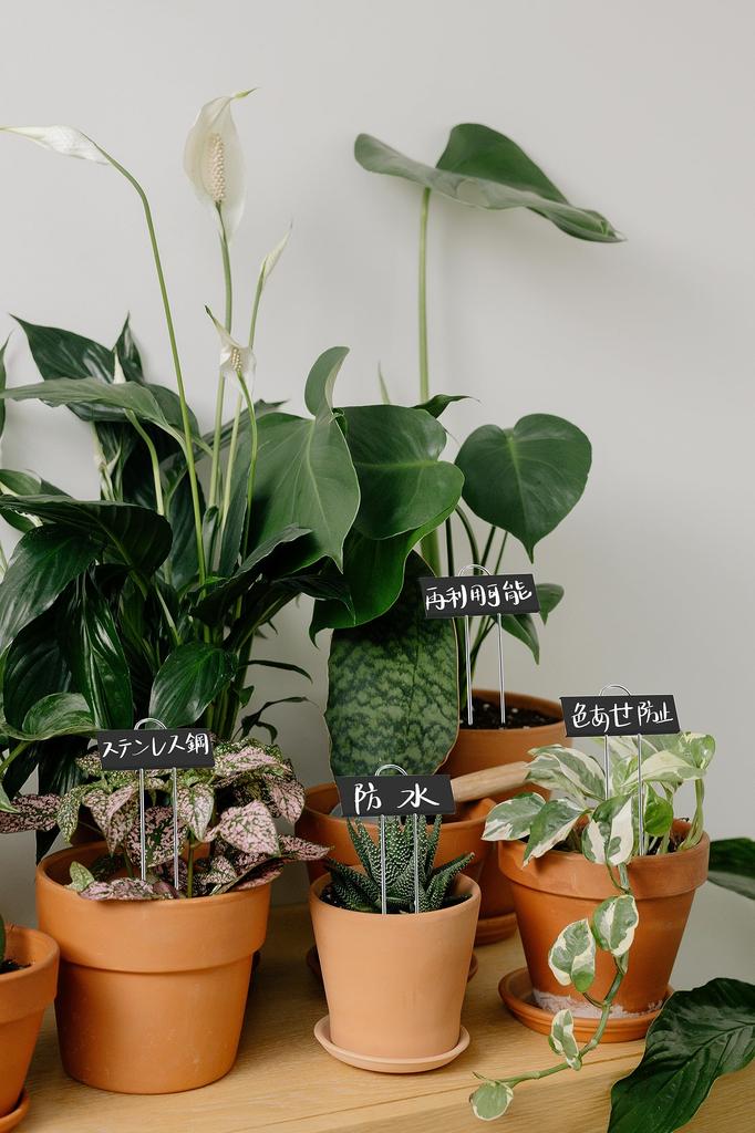 Niesporek Gardening Gardening 30 Metal Plant Plant Flower Potted Gardening Mini Gardening Vegetable Herb Flower Nursery Stylish Labels, Nameplates,