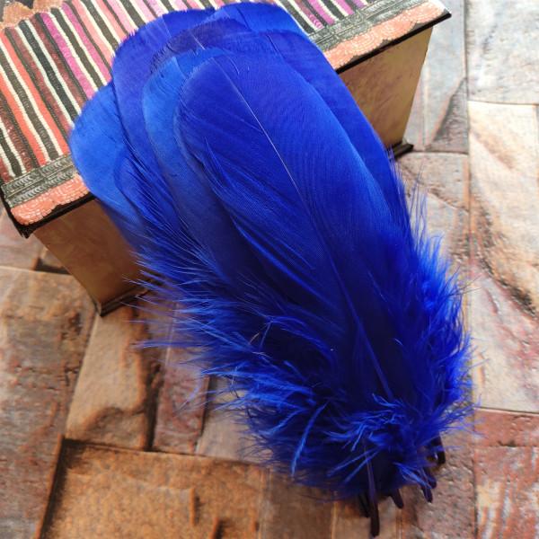 20pcs Natural Goose Feathers 31 Color Loose Goose Feathers 12-20cm Long Christmas Decoration Clothing Shoes Hat Accessories